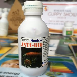 Anti Bio - Thuốc chuyên trị bệnh cho cá bảy màu