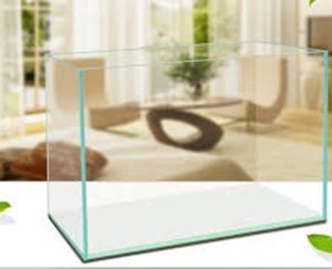 Bể kính siêu trong 60x30x33