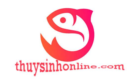 Thuysinhonline.com